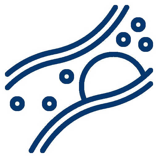 Dislipidemias o colesterol alto